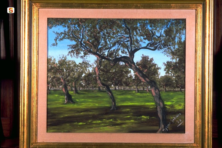 Ulivi, paesaggio (dipinto) di Solinas Myriam (sec. XX)