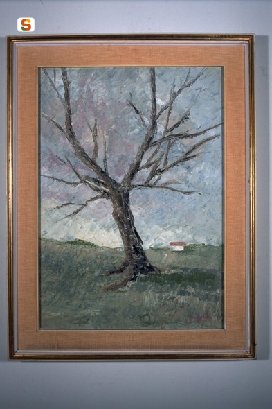Vecchio mandorlo, paesaggio con albero (dipinto) di Marongiu Giuseppe (sec. XX)
