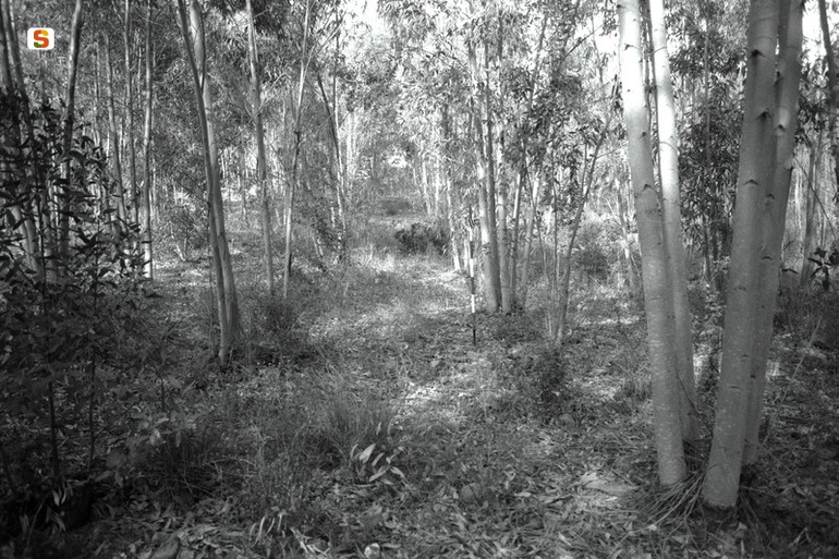 Monte Exi VM19 (area di materiale mobile) - Villamassargia (CI)  (millennio IV-sec. X a.C.)