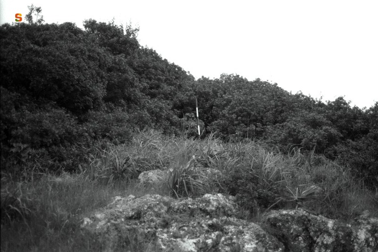 Monte Ollastus VM31 (area ad uso funerario) - Villamassargia (CI)  (millennio III-sec. XVII a.C.)