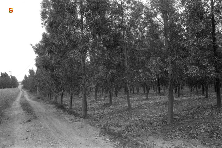 Monte Idda DP14 (area di materiale mobile) - Decimoputzu (CA)  (secc. III a.C.-VII d.C.)