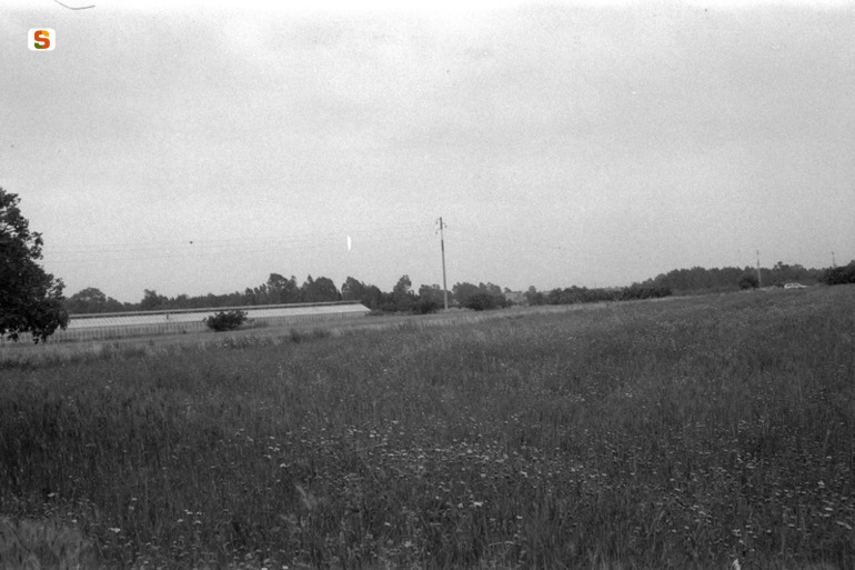 Bingias Mannas DP17 (area di materiale mobile) - Decimoputzu (CA)  (secc. XVI a.C.-V d.C.)