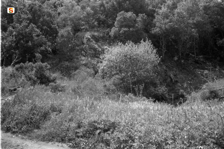 Sedda Antiogu Sabiu VM47 (strutture per il culto) - Villamassargia (CI)  (secc. VI-III a.C.)