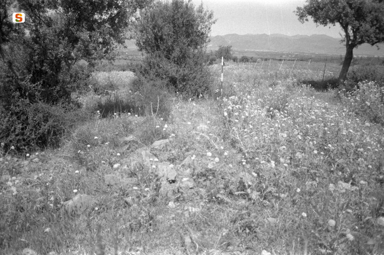 Casa su Sensu VM53 (sito non identificato) - Villamassargia (CI)  (millenni III-II a.C.)