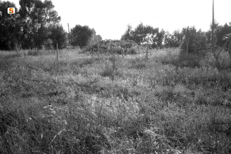 Podere N. 19 VM56 (area di materiale mobile) - Villamassargia (CI)  (secc. III a.C.-V d.C.)