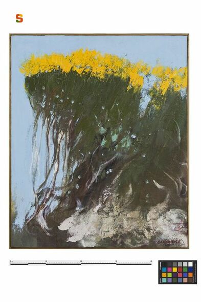 Ginestra, fiori (dipinto) di Cazzaniga Giancarlo (sec. XX)