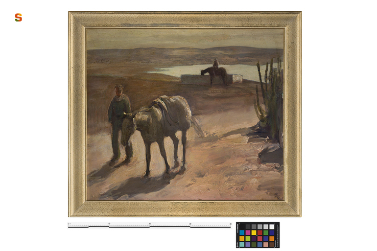 Abbeverata sullo stagno, paesaggio rurale (dipinto) di Biasi Giuseppe (sec. XX)