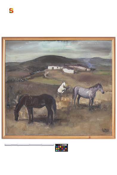 Cavalli al pascolo, paesaggio con animali (dipinto) di Biasi Giuseppe (sec. XX)