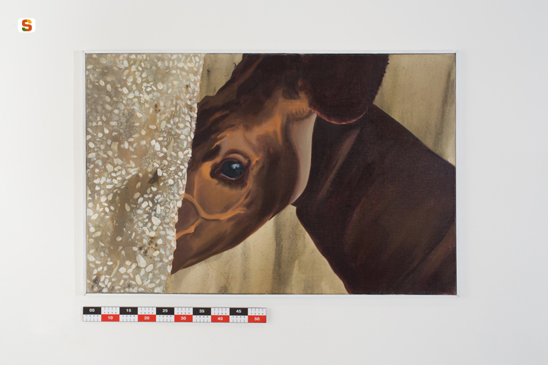 Okapi, okapi (dipinto) di Aillaud Gilles (sec. XX)